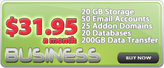 Buiness Hosting Package